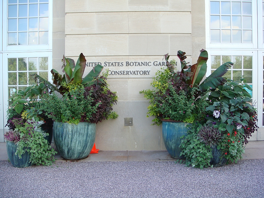 Washington DC [2009 July 04] 039.JPG - Scenes from The United States Botanic Garden